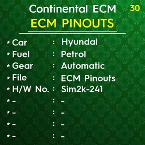 Continental ECM Pinouts-Sim2k-241 Automatic Petrol