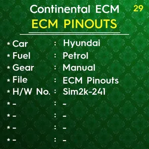 Continental ECM Pinouts-Sim2k-241 Manual Petrol