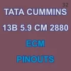 Tata Cummins 13B 5.9 CM 2880 ECM Full Ontable Pinouts Total Pin 60