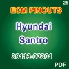 Hyundai Santro ECM PINOUTS 39113-02301