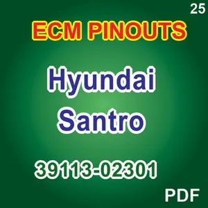 Hyundai Santro ECM PINOUTS 39113-02301