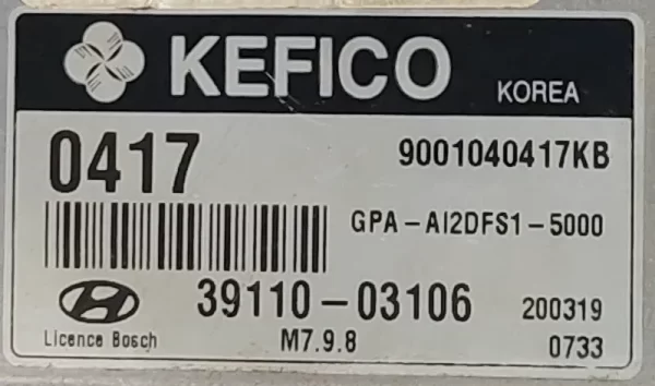 ECM Pinouts-Hyundai i20 Petrol Kefico-03106-M7.9.8