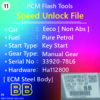 Speed Unlock File Eeco non abs Pure Petrol Mechanical Key Manual Gear Steel Body Denso Ecm 33920-78L6 HA112800 G12B ETB P74 BB PCM Flash Tools