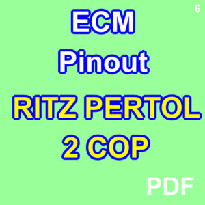 ritz petrol pinouts 2 cop